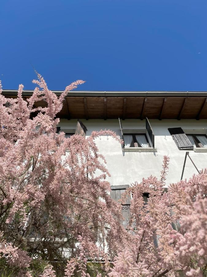 Terrazza Sul Lago Ameno Exterior foto